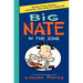 Big Nate: In the Zone