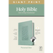 NLT Personal Size Giant Print Bible, Filament Enabled Edition (Red Letter, Leatherlike, Floral Frame Teal, Indexed)