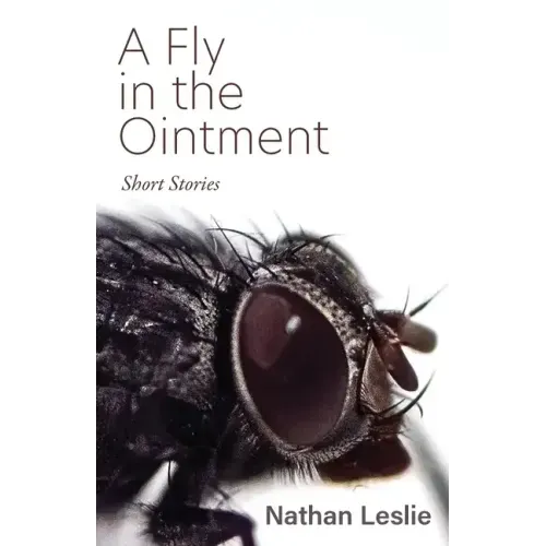 A Fly in the Ointment: Short Stories