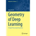 Geometry of Deep Learning: A Signal Processing Perspective