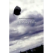 If the Sky Falls: Stories