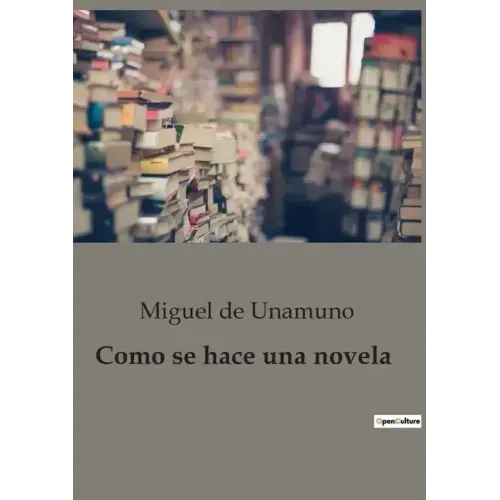 Como se hace una novela