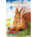 The Uneaten Carrots of Atonement