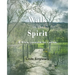 Walk In The Spirit: 8 Bible Lessons For Ladies