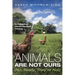 Animals Are Not Ours (No, Really, They're Not): An Evangelical Animal Liberation Theology