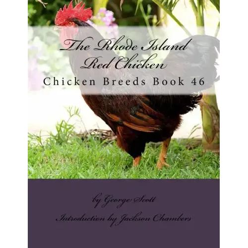 The Rhode Island Red Chicken: Chicken Breeds Book 46
