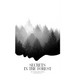 Secrets in the Forest