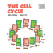 The Cell Cycle