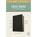 NLT Personal Size Giant Print Bible, Filament Enabled Edition (Red Letter, Genuine Leather, Black)