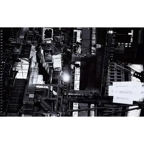 Satoshi Hirano: Reconstruction: Shibuya, 2014-2017