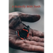 A Butterfly with Teeth
