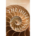 The Shell Collector