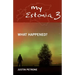 My Estonia 3: What Happened?