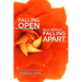 Falling Open in a World Falling Apart: The Essential Teaching of Amoda Maa