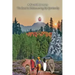 A Sacred Journey: The Road to Rediscovering My Spirituality