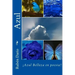 Azul (Spanish) Edition