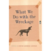 What We Do with the Wreckage: Stories