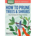 How to Prune Trees & Shrubs: Easy Techniques for Timely Trimming