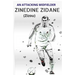 ZINEDINE ZIDANE (Zizou): An Attacking Midfielder