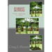 Forest Bonsai: from saplings to trees