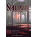 Spillway