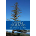 Deeply Damaged: An Explanation for the Profound Problems Arising from Aborting Babies and Abusing Children