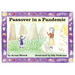 Passover in a Pandemic