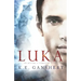 Luka: The Gifting, a companion novel