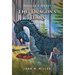 The Dragon's Tears