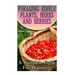 Foraging Edible Plants, Herbs And Berries: A Complete Guide For Beginners: (Backyard Foraging, Foraging Plants)
