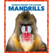 Mandrills
