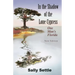 In the Shadow of the Lone Cypress