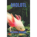 Axolotl: The ultimate guide book on how to care, feed, house, common health issues of axolotl