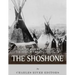 Native American Tribes: The History and Culture of the Shoshone