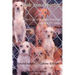 Inside Animal Hoarding: The Story of Barbara Erickson and her 522 Dogs