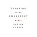 Thinking in an Emergency