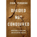 Divided Not Conquered: How Rebels Fracture and Splinters Behave