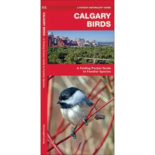 Calgary Birds: A Folding Pocket Guide to Familiar Species
