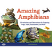 Amazing Amphibians: 30 Activities and Observations for Exploring Frogs, Toads, Salamanders, and More Volume 6