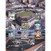 "Dodger Blue" History of the Los Angeles Dodgers
