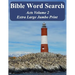 Bible Word Search Acts Volume 2: King James Version Extra Large Jumbo Print