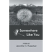 Somewhere Like You
