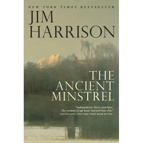 The Ancient Minstrel: Novellas