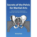 Secrets of the Pelvis for Martial Arts: A Practical Guide for Improving Your Wujifa, Taiji, Xingyi, Bagua and Everyday Life