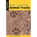 Basic Illustrated Animal Tracks