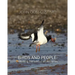 Birds and people: resolving the conflict on estuaries
