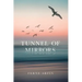Tunnel of Mirrors