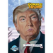 Political Power: Donald Trump: Road to the White House