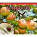 An Apple's Life