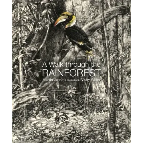 A Walk Through the Rain Forest